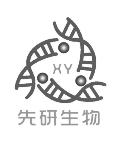 XY 先研生物