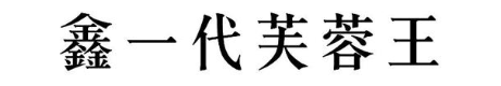 鑫一代芙蓉王