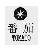 番茄  TOMATO