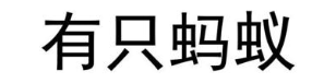 有只蚂蚁