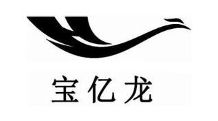 宝亿龙