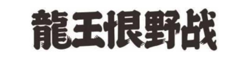 龙王恨野战