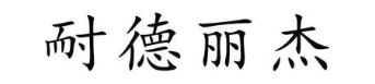 耐德丽杰