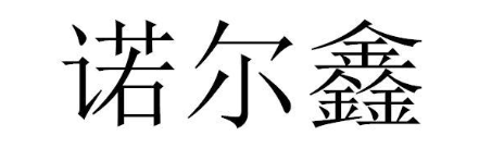 诺尔鑫