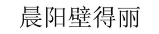 晨阳壁得丽