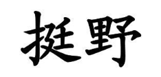 挺野