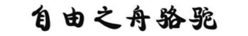 自由之舟骆驼