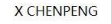 X CHENPENG