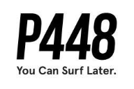 P 448 YOU CAN SURF LATER