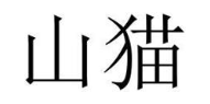 山猫