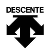 DESCENTE