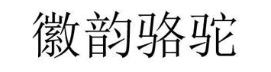 徽韵骆驼