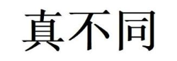 真不同