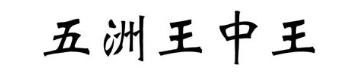 五洲王中王