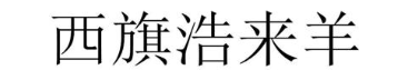 西旗浩来羊