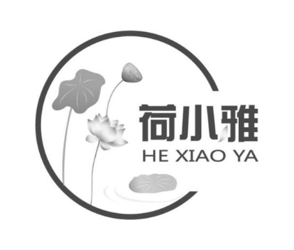 荷小雅