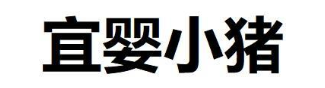 宜婴小猪