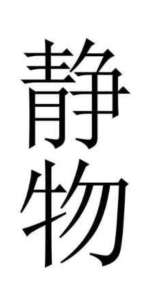 静物