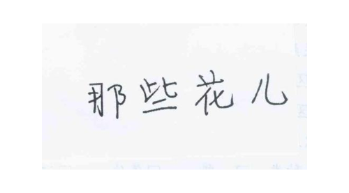 那些花儿