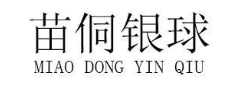 苗侗银球