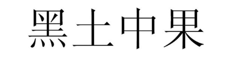 黑土中果