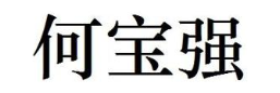 何宝强