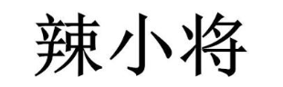 辣小将