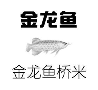 金龙鱼 金龙鱼桥米