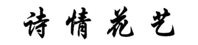 诗情花艺