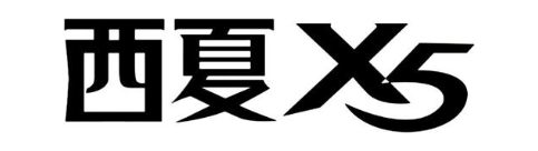 西夏 X5