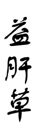 益肝草