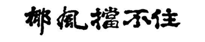 椰风挡不住