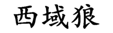 西域狼