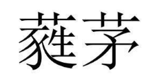 蕤茅