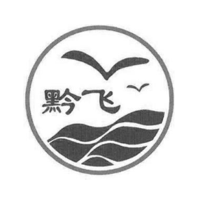 黔飞