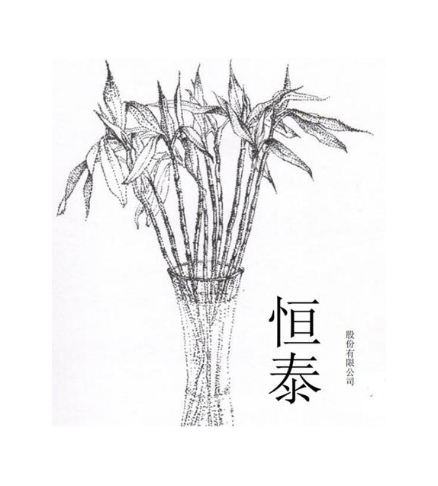 恒泰 股份有限公司