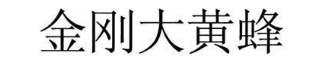 金刚大黄蜂