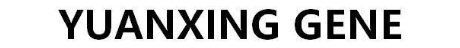 YUANXING GENE