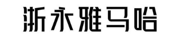 浙永雅马哈