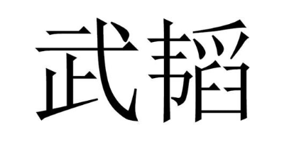 武韬