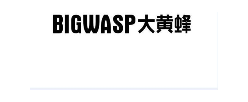 大黄蜂 BIGWASP