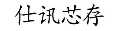 仕讯芯存