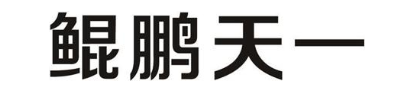 鲲鹏天一