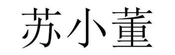 苏小董