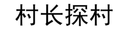 村长探村