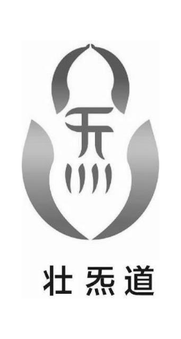 壮炁道