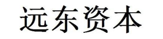 远东资本