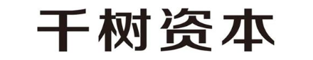 千树资本