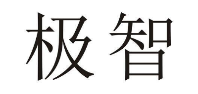 极智