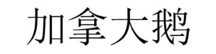 加拿大鹅